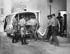 ���� ������ ��� ��� ����